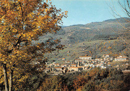 Delcampe - LAMASTRE Vue Générale Aérienne 2 (scan Recto Verso)MH2921 - Lamastre