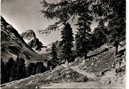 Delcampe - Guarda (Unter-Engadin) - Tuoital Mit Piz Buin (32-467) * 4. 7. 1964 - Guarda