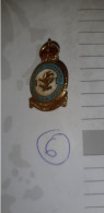 Delcampe - Royal Air Force Insigne - Sonstige & Ohne Zuordnung