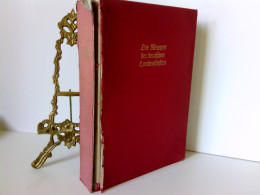 Delcampe - Siebmachers Wappenbücher / Die Wappen Der Deutschen Landesfürsten - Sonstige & Ohne Zuordnung