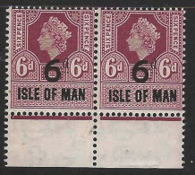 Delcampe - Isle Of Man 1960 QEII 6d - Revenue Stamp Pair MNH - Steuermarken