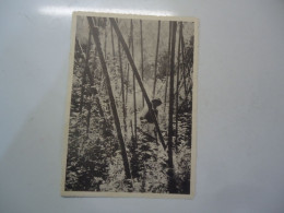 Delcampe - UGANDA POSTACARDS Ruwenzori ASPECTS  MEN IN FOREST - Uganda