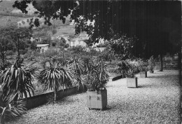 Delcampe - 38 LA TRONCHE INSTITUTION IMMACULEE CONCEPTION - La Tronche