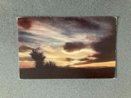 Delcampe - Mojave Desert At Sunset Carte Postale Postcard - Death Valley