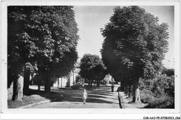 Delcampe - CAR-AAJP5-56-0409 - GUEMENE-SUR-SCORFF - Allée Des Soupirs - Guemene Sur Scorff