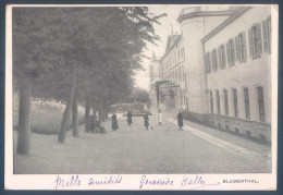 Delcampe - Nederland Limburg Vaals BLUMENTHAL - Vaals