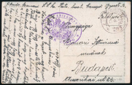 Delcampe - 1917 Tábori Posta Képeslap Budapestre Küldve / Field Postcard "K.u.K. KRIEGSMARINE / S.M.B. COMPO" + "FP 299b" - Budapes - Other & Unclassified