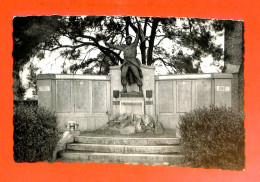 Delcampe - Belgique - Hainaut - Ploegsteert - Monument Aux Mort 1914-1918 - Comines-Warneton - Komen-Waasten