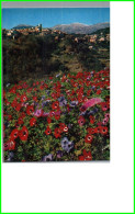 Delcampe - SAINT PAUL DE VENCE 06 - La Floraison Des Anémones Fleur Au Fond Le Village Carte Vierge - Saint-Paul