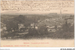 Delcampe - AKTP6-0544-54 - VEZELISE - Vue Générale Prise Des 80 Escaliers - Vezelise