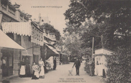 Delcampe - 63 / CHATELGUYON / LES MAGASINS DANS LE PARC - Châtel-Guyon