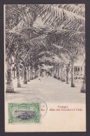 Delcampe - Postcard, BELGIAN CONGO, Alley Of Coconut Trees In Caijo - Kinshasa - Leopoldville