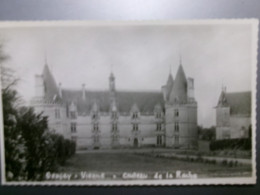 Delcampe - 63-14-39             GENCAY    Château De La Roche    ( Photo !!! ) - Gencay