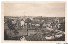 Delcampe - CAR-ADGP16-1009-88 - DOMEVRE-SUR-AVIERE - Par GOLBEY - Vue Generale - Golbey