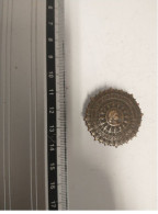 Delcampe - INSIGNE BOUTONNIERE LES COMBATTANTS DE LA GRANDE GUERRE - Sonstige & Ohne Zuordnung