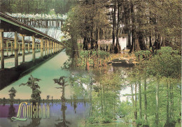 Delcampe - [-15%] ETATS UNIS - Louisiana - One Of The Greatest Reservoirs Of Fresh Water Are Spongy Swamps - Carte Postale - Otros & Sin Clasificación