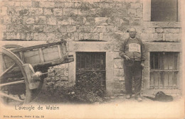 Delcampe - [-15%] BELGIQUE - Walzin - Laveugle - The Blind Man - Charrette - Chien - Sel Cérébros - Nels - Animé - Carte Posta - Dinant