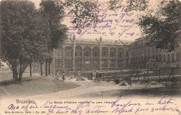 Delcampe - [-15%] BELGIQUE - Bruxelles - Le Musée Dhistoire Naturelle Au Parc Léopold - Nels Bx S 1 No 428  - Carte Postale An - Museen