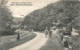 Delcampe - [-10%] LUXEMBOURG - Route Müllerthal à Blumenthal - Rocher - Pêche - Chapeau - Animé - JM Bellwald - Carte Postale Ancie - Müllerthal
