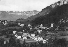 Delcampe - [-15%] FRANCE - Assy Passy - Vue Générale - Le Village - Collines - Forêt - Carte Postale Ancienne - Passy
