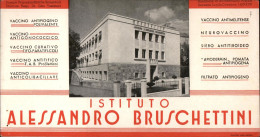 Delcampe - 04108 "ISTITUTO ALESSANDRO BRUSCHETTINI - VACCINI - STAMPE PROPAGANDISTICHE SEMESTRALI......" PUBBL - Pubblicitari