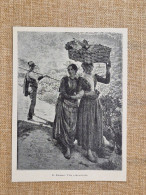 Delcampe - Ruggero Focardi Vita Campagnuola Scena Contadina Toscana Stampa Del 1900 - Autres & Non Classés