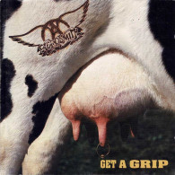 Delcampe - Aerosmith - Get A Grip. CD - Rock
