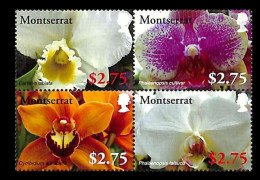 Delcampe - Montserrat - 2008 - Flowers - Yv 1303E/H (from Sheet) - Orchideen