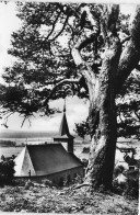 Delcampe - [-10%] BELGIQUE - Roly - Env Mariembourg - Eglise - Vieux Pin - Nels - Bâtiment - Flèche - Ed Maison Delers - Carte Post - Philippeville