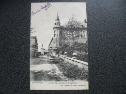Delcampe - SOUMAGNE. AVENUE DU CHATEAU DE WEGIMONT. - Soumagne