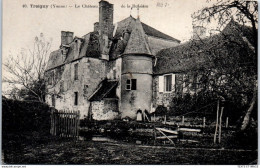Delcampe - 89 TREIGNY - Le CHATEAUde La Bussiere - Treigny