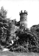 Delcampe - 38 BRESSIEUX Le Chateau (Scan R/V) N° 46 \PB1125 - Bressieux