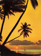 Delcampe - FRANCE - Pointe Aux Sables - Coucher De Soleil - Philippe Halbwachs - Cocotier - Repr Interdite - Carte Postale Ancienne - Bourgneuf-en-Retz