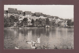 Delcampe - WIL - Schwanenteich // Eckbug // - Wil