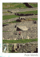 Delcampe - [-5%] IRLANDE - Galway - Îles Aran - Damier - Murets De Pierre - Parcelles Agricoles - Paysan - Animé - Carte Postale - Galway