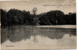 Delcampe - CPA 89 Yonne - BLENEAU - L'étang Des Garniers - Bleneau
