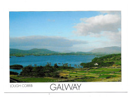 Delcampe - (99). Irland. Galway. Barques & (2) - Galway