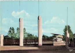 Delcampe - 81 GRAULHET LE STADE MUNICIPAL - Graulhet