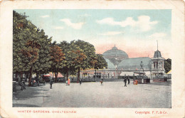 Delcampe - B064 England Winter Gardens Cheltenham Vintage Postcard - Cheltenham