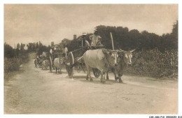 Delcampe - CAR-ABSP10-0730-AGRICULTURE - Tracteurs Tiré Par Des Vaches - Tractors