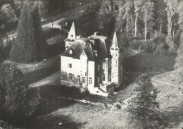 Delcampe - Hamois Chateau De Pickeim - Hamois