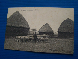 Delcampe - EN BEAUCE. L'AGRICULTURE. TROUPEAU DE MOUTONS.  7949JK1000 - Ile-de-France
