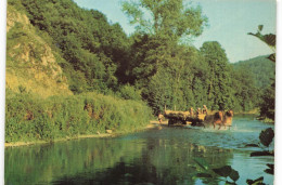 Delcampe - [-10%] BELGIQUE - Olloy Sur Viroin - Passage à Gué - Petit Pont - Attelage Cheval - Transport - Animé - Nels - Carte Pos - Viroinval
