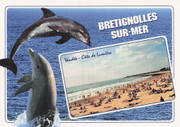 Delcampe - 85 BRETIGNOLLES SUR MER VENDEE COTE DE LUMIERE - Bretignolles Sur Mer