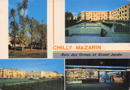 Delcampe - 91 CHILLY MAZARIN BOIS DES ORMES ET GRAND JARDIN - Chilly Mazarin