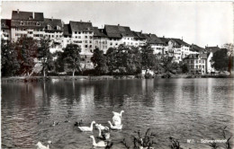 Delcampe - Wil - Schwanenteich - Wil