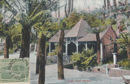 Delcampe - Cartolina /  Postcard / Non Viaggiata  /  Lauceston - Fern Tree Bower. - Lauceston