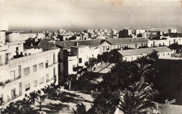 Delcampe - [-10%] ALGERIE - Oran - Avenue Pierre Seimard - Animé - Ville - Edit Linphot - Relief - Carte Postale Ancienne - Oran