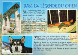 Delcampe - 40 DAX LA LEGENDE DU CHIEN - Dax