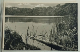 Delcampe - Germany-Herthasee/Rügen - Rügen